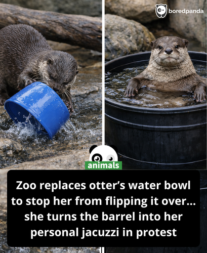 2. Otter zoo Ai story.png