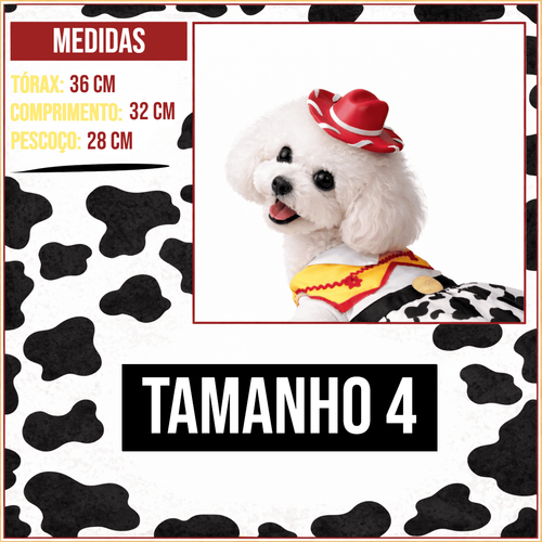 MEDIDAS TAM 4.png