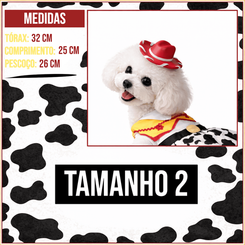 MEDIDAS TAM 2.png