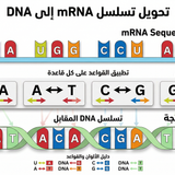 Gemini Generated Image itfv3nitfv3nitfv