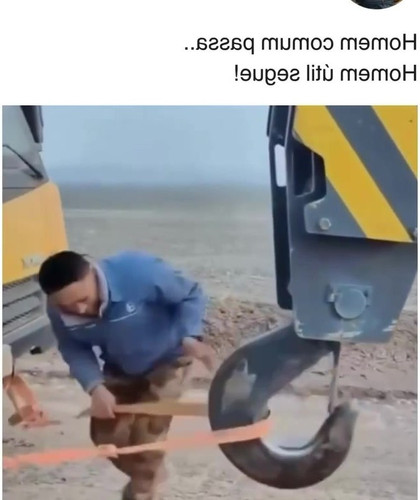 frame.jpg