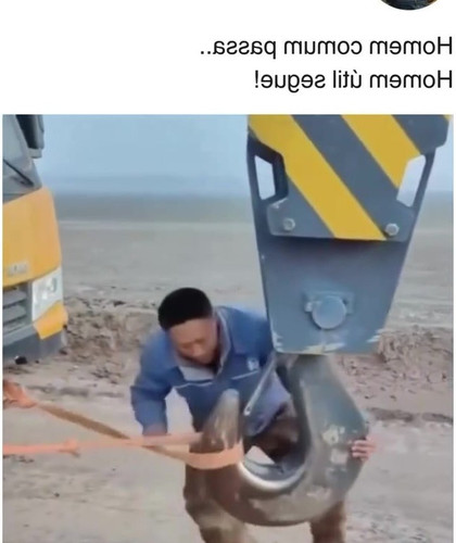 frame.jpg