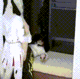 1000142093.gif