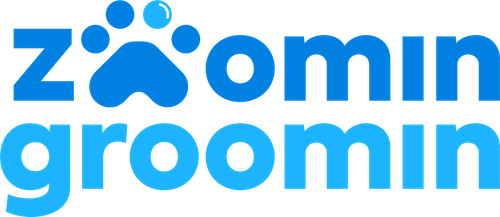 zoomingroomin logo.png