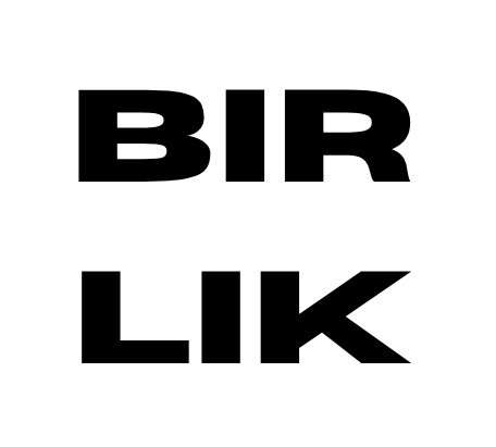 BIRLIK LOGO.jpg