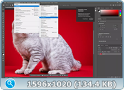 thumb 7a47ee7b83c84fcf2cc98289b5300929.png