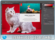 thumb 67f3c0fa8fceb80192e10bb2ab2e749f.png