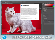 thumb 13dd8d7eec371ce0aaa219a9cb6c30cd.png