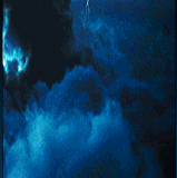 18.gif