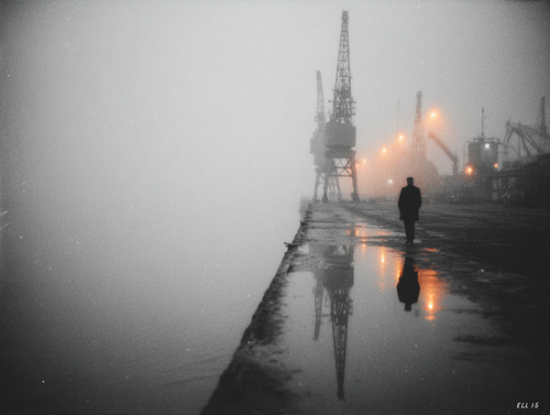 fog protocol.png