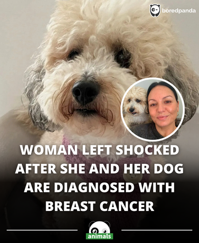418. Woman ‘Shocked’ After She and Her Dog Get Diagnosed with Breast Cancer and Both Need Mastectomi.png