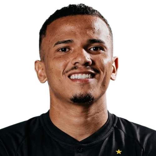 Romarinho1.png