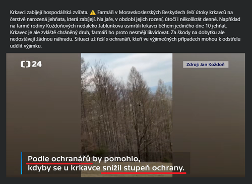 Bez názvu.png