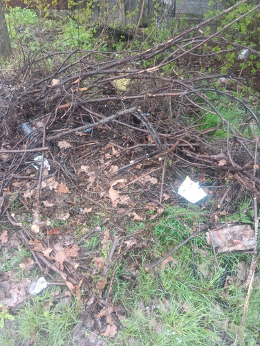 IMG 20260413 162110.jpg