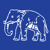 bsp