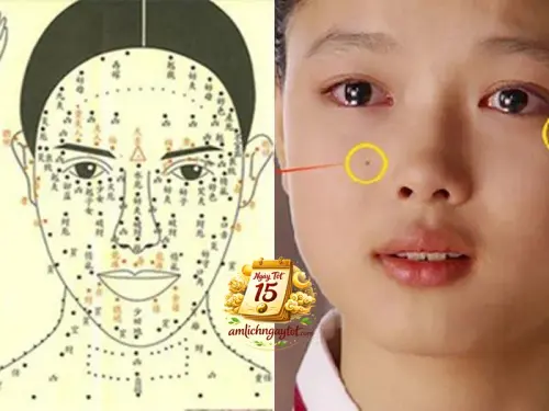 Mệnh lý học.webp