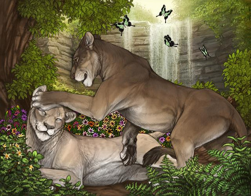 C2BB2E73 9285 4C93 B992 32A0EE29264F.jpg