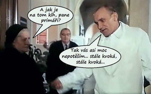 Stále kvoká.jpg