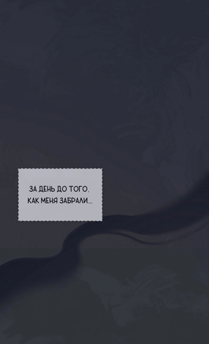 Без названия2074.png