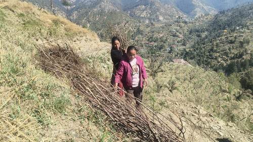 WhatsApp Image 2026 03 10 at 12.48.50 PM.jpg