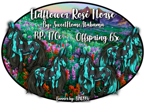 eldflower rose horse