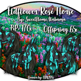 eldflower rose horse