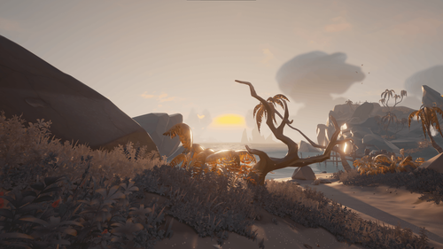 Calm & Peaceful evening in the Roar