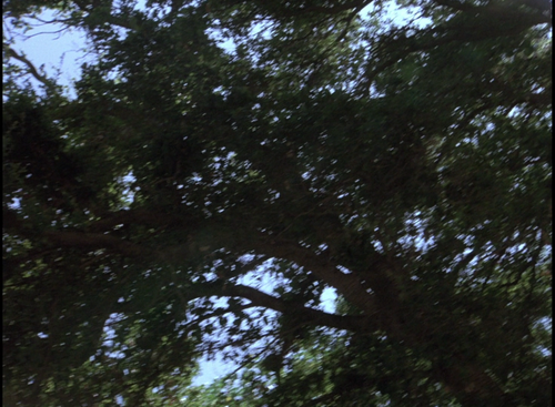 the.a team.s02e01.1080p.bluray.x264 taxes.0:23:58.optimized=default.png