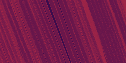 temp.png