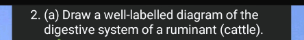temp.png