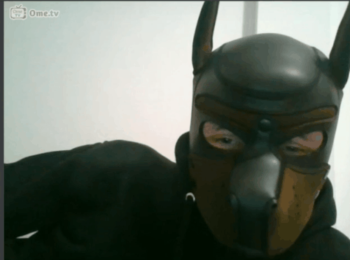 3bee45384a4c.gif