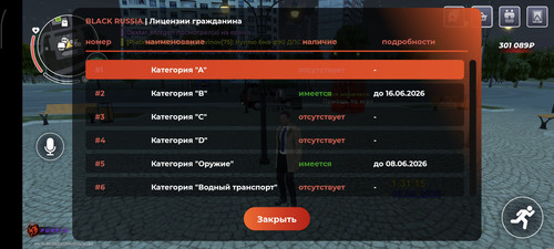 251.jpg