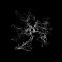 d27272895bdc.webp