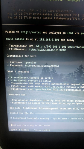 file 22 3fbfaeb3 c8e0 41c0 ac88 e25aa7d84ff7.jpg