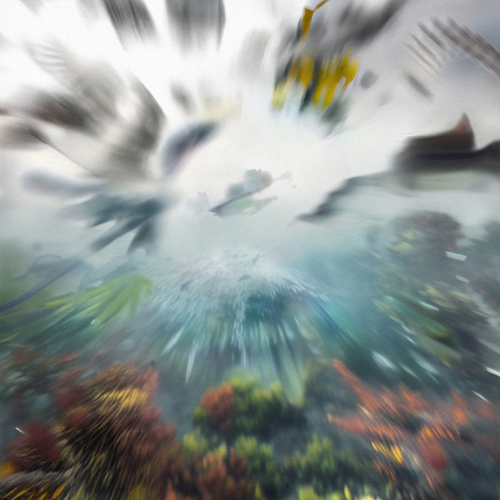 f9d5caf94d8f.png