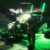 da4505482d41.png