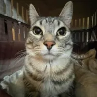 dcab04d4b1f4.webp