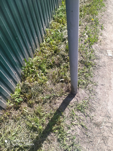 IMG 20260518 113317.jpg