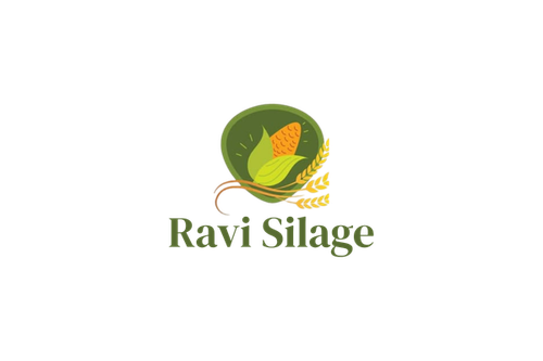 ravi.png