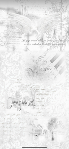 IMG 2647.png