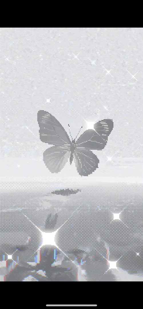 IMG 2671.png