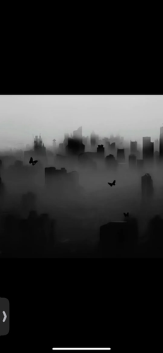 IMG 2688.png