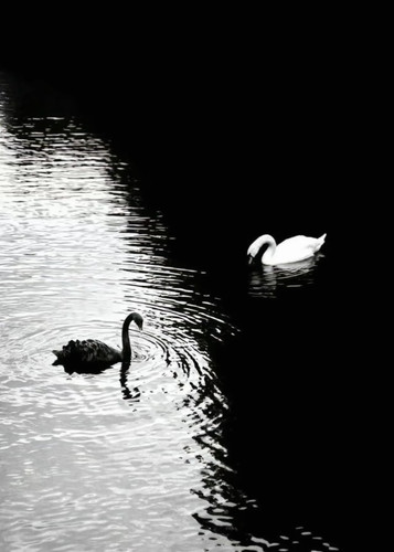 IMG 4257.jpg