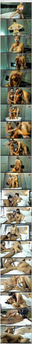 [Lustmaza.net] Chocolate Lady Uncut 1080p WEB DL [Lustwap.com].mp4 thumbs.jpg