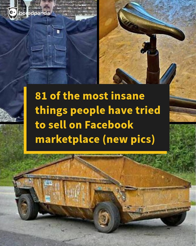 crazy funny finds facebook marketplace.jpg