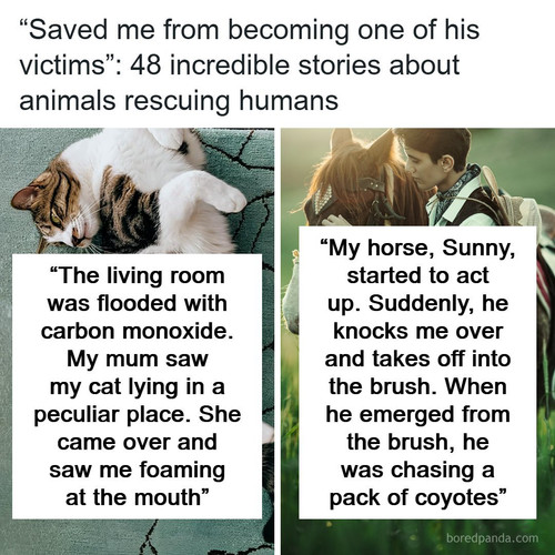 people saved by animals share stories.jpg