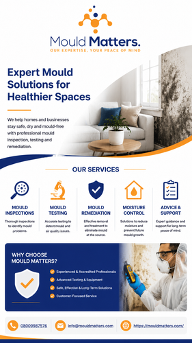Keep Your Home Healthy: Expert Mould Solutions.png