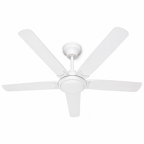 ChatGPT Image May 18, 2026, 10 42 07 AM.png