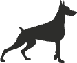 436a8454f0a1.png