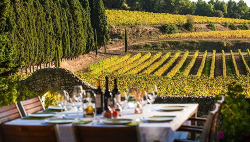 Winery Luxury Tours from Barcelona To Bodegas.jpg